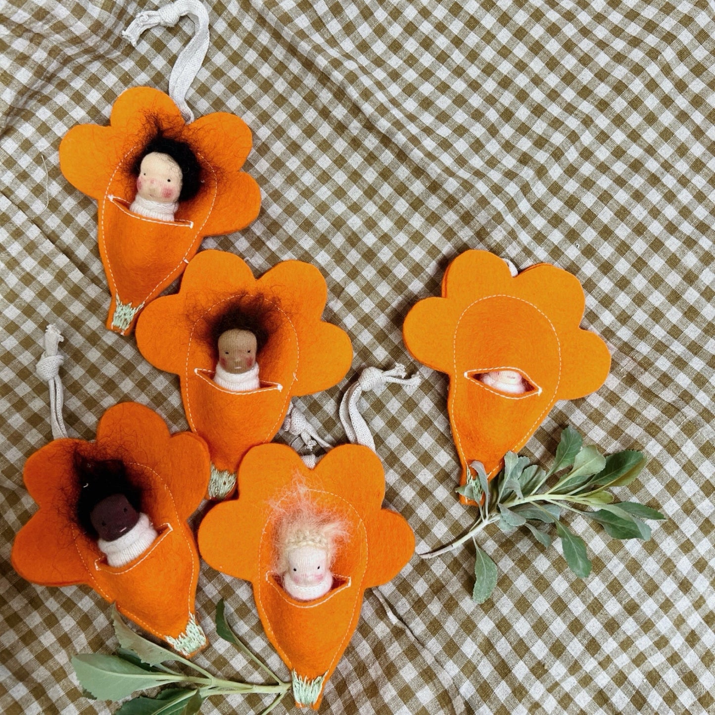 California Poppy Flower Baby