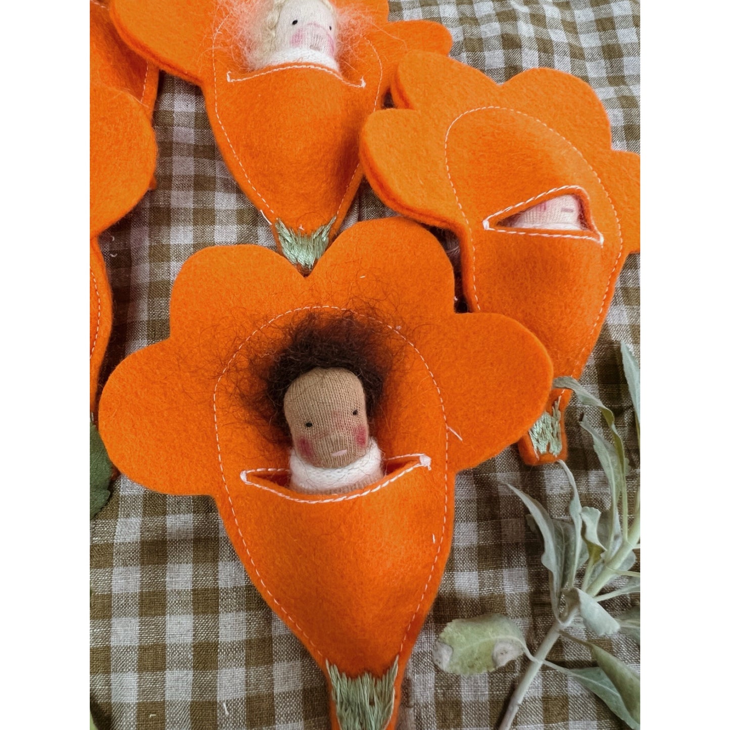 California Poppy Flower Baby